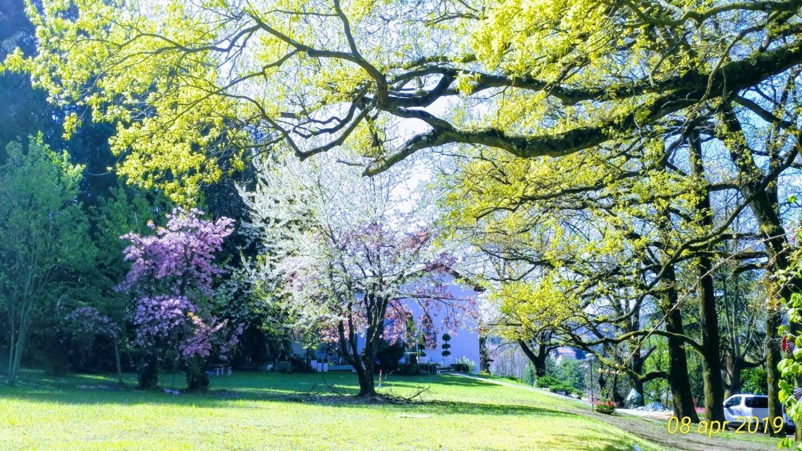 Buguggiate "La Selvetta" Bed And Breakfast المظهر الخارجي الصورة