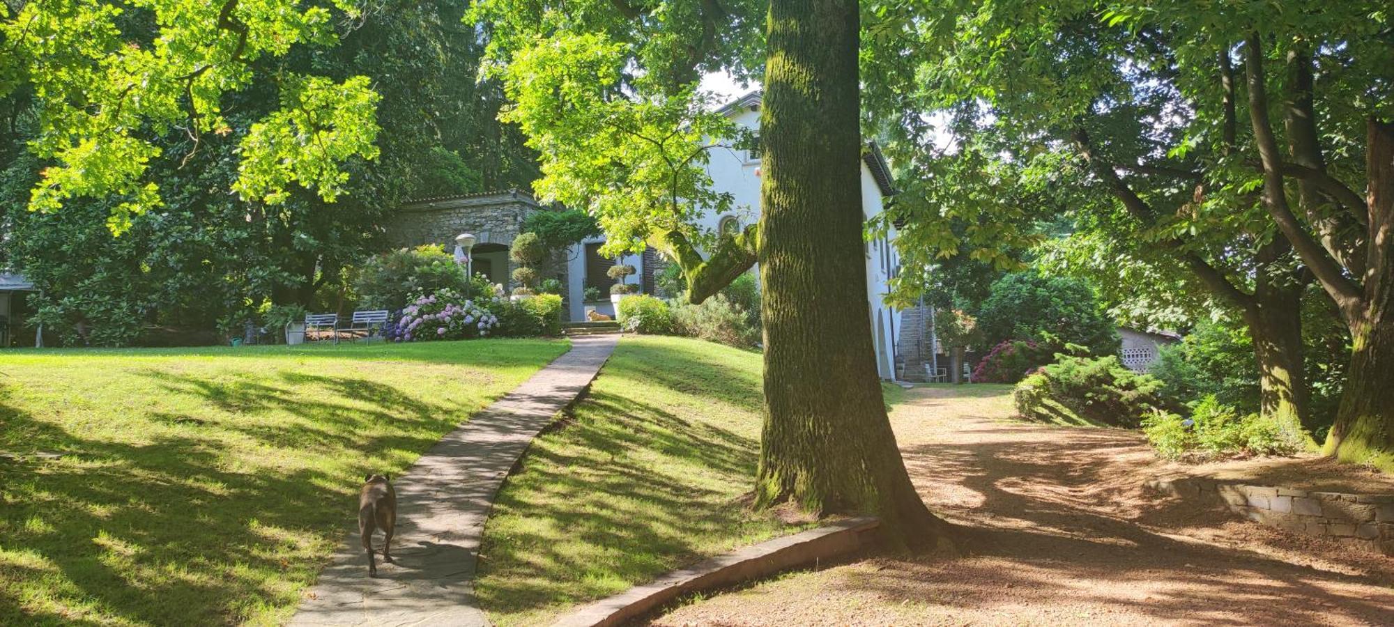 Buguggiate "La Selvetta" Bed And Breakfast المظهر الخارجي الصورة