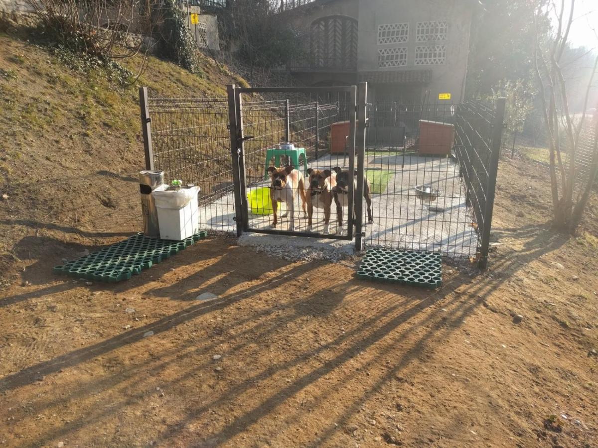 Buguggiate "La Selvetta" Bed And Breakfast المظهر الخارجي الصورة